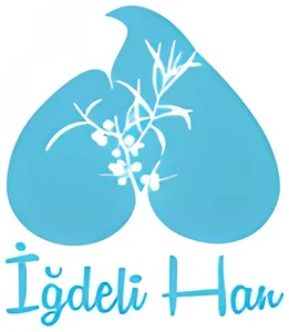 İğdeli Han